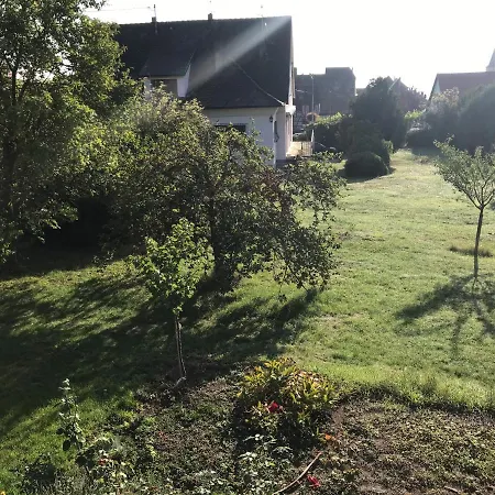 Le Chemin Du Meunier Penzion Riquewihr