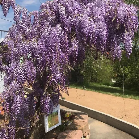 Le Chemin Du Meunier Casa de hóspedes Riquewihr