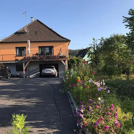 Le Chemin Du Meunier Riquewihr