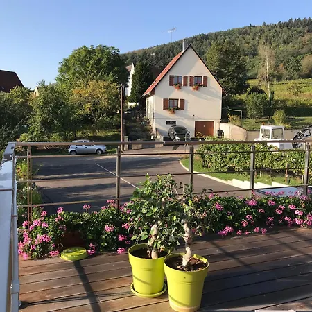 Le Chemin Du Meunier Penzion Riquewihr