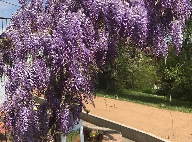 Le Chemin Du Meunier 招待所 利克维